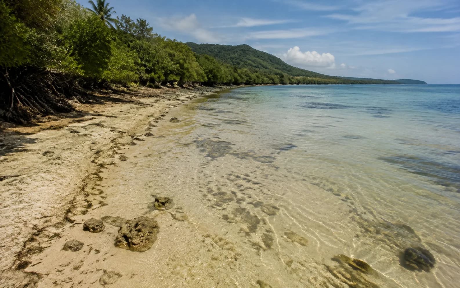 The clear shallow shoreline of Tulapos Marine Sanctuary at low tide